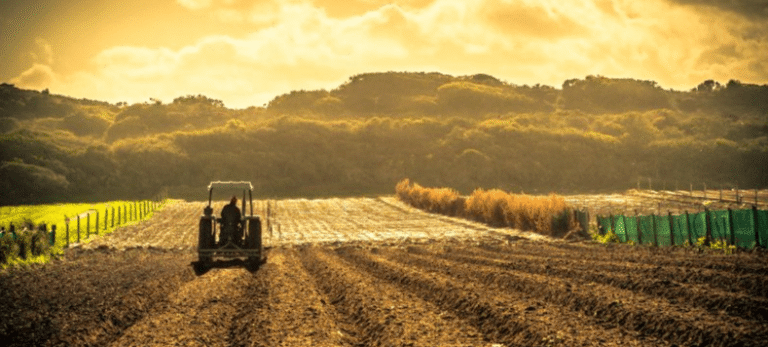 «El tractor municipal con Posnet en la zona rural»