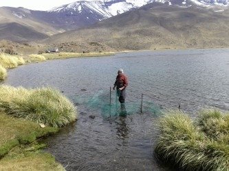 Pesca Deportiva: 5 WhatsApp Image 2025 10 14 at 4.02.13 PM