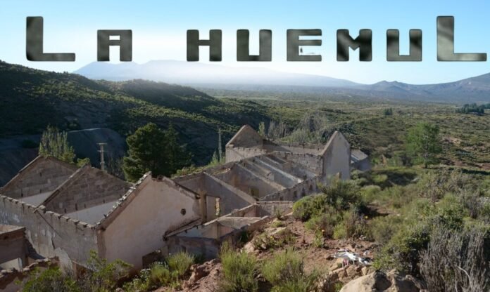 WhatsApp Image 2025-10-28 at 1.03.07 PM