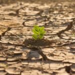 Malargüe será sede de un taller sobre cambio climático y estrategias locales de adaptación