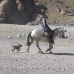 La Legislatura impulsa la protección del patrimonio cultural inmaterial