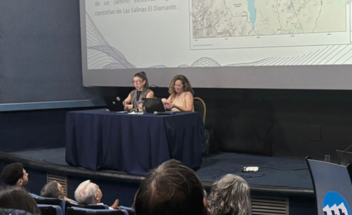 Audiencia Pública por litio