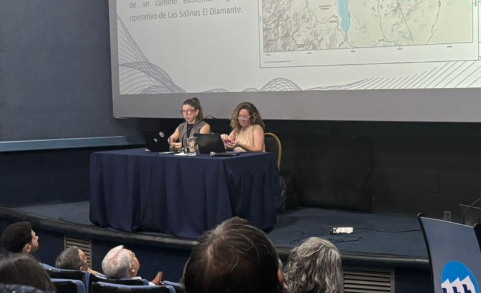 Audiencia Pública por litio