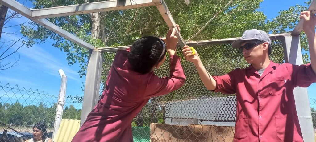 Imagen de WhatsApp 2025 11 27 a las 12.12.28 9953c605