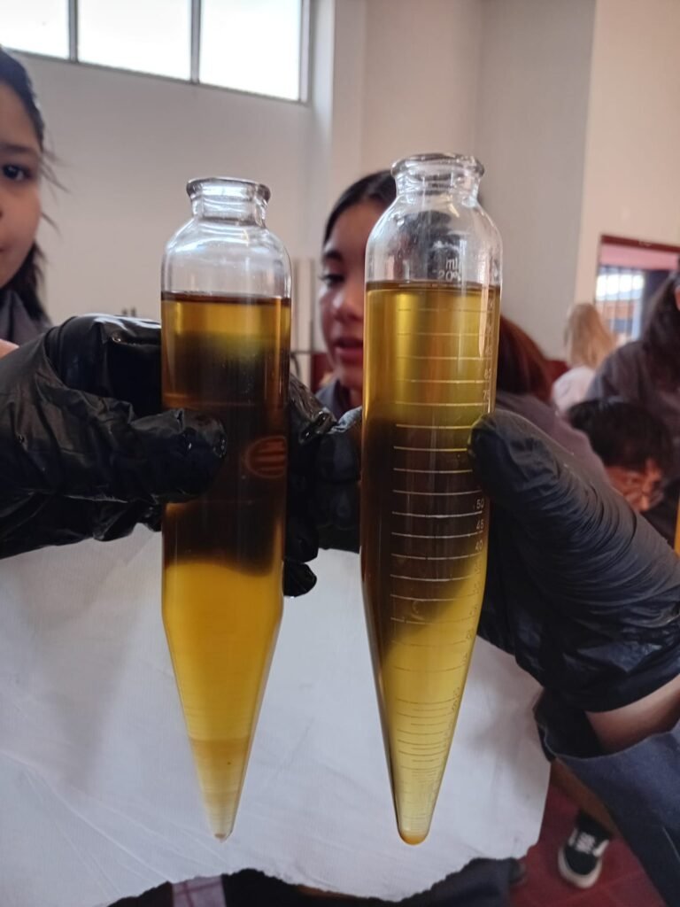 WhatsApp Image 2025 11 03 at 11.23.44 AM 3