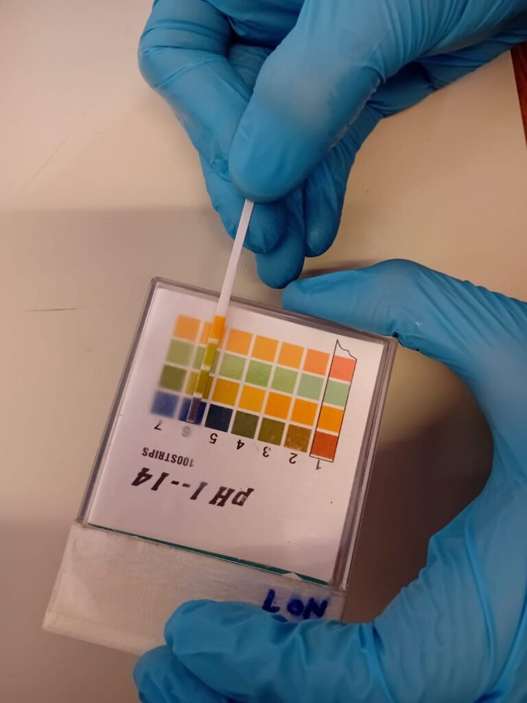 WhatsApp Image 2025 11 03 at 11.23.45 AM