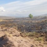 Incendio en Bardas Blancas: el fuego está contenido y aseguran que no hay riesgo para los vecinos.