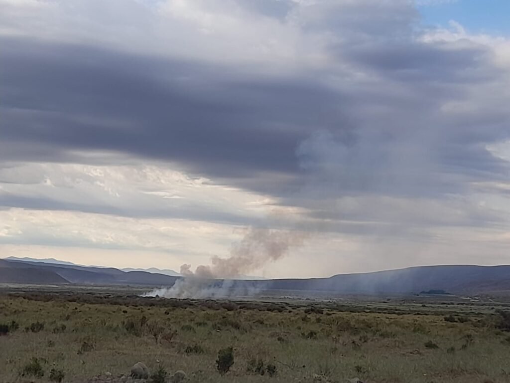 WhatsApp Image 2025 11 28 at 9.47.20 AM