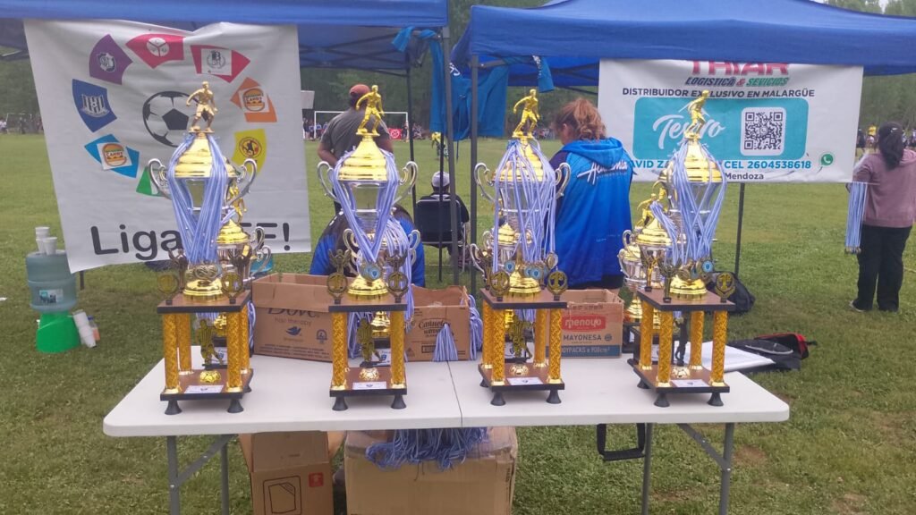 WhatsApp Image 2025 12 09 at 1.52.26 PM