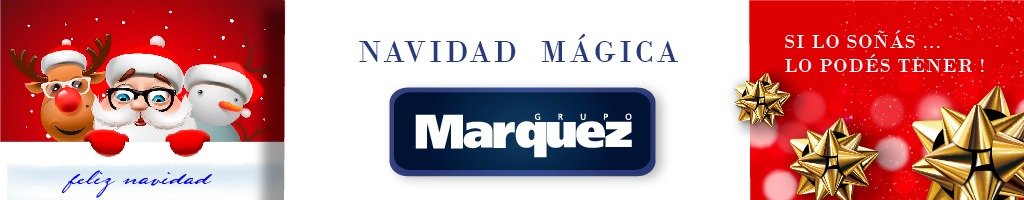 Captura, esterilización y devolución: De qué trata el proyecto municipal que debaten los concejales. 1 WhatsApp Image 2025 12 15 at 5.39.26 PM
