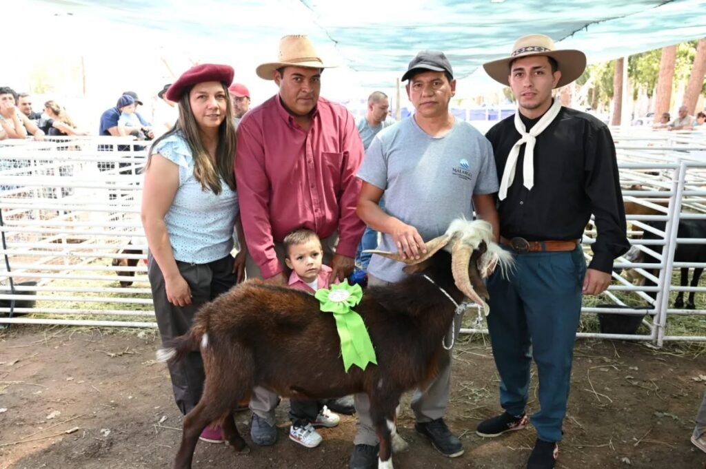 612109531 17939250129109114 3360927065709527561 n