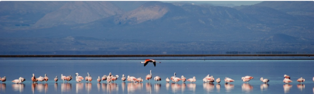 Captura de pantalla 2026 01 30 004340