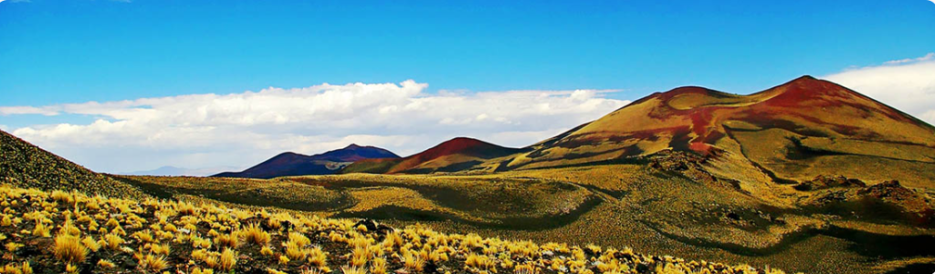 Captura de pantalla 2026 01 30 004423