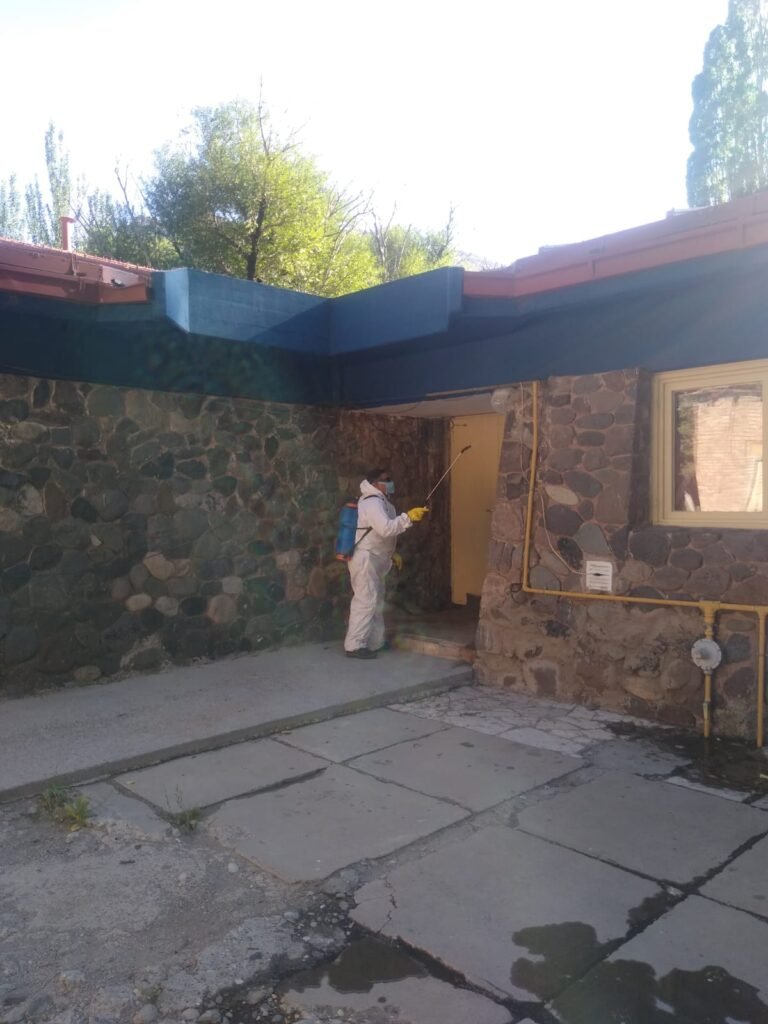 WhatsApp Image 2026 01 26 at 11.55.27 1