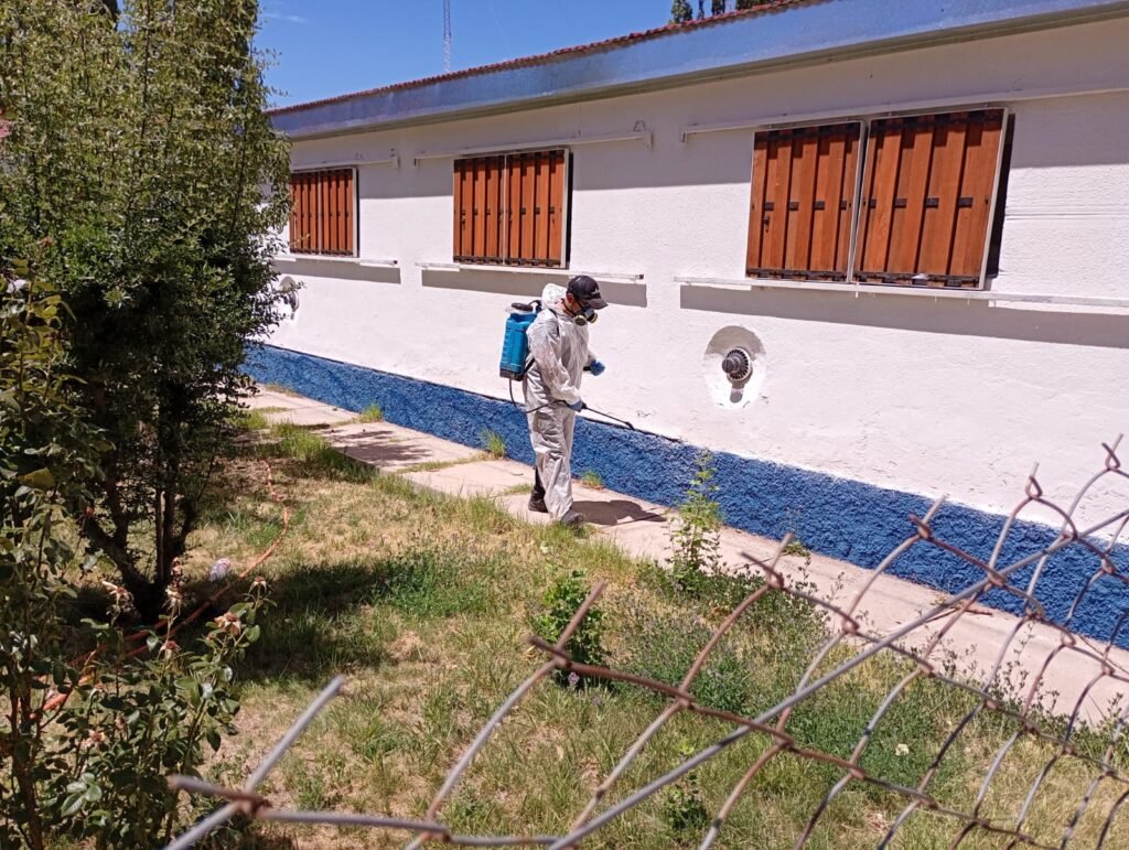 WhatsApp Image 2026 01 26 at 11.55.32