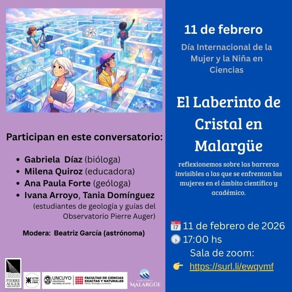 WhatsApp Image 2026 02 10 at 2.17.14 PM