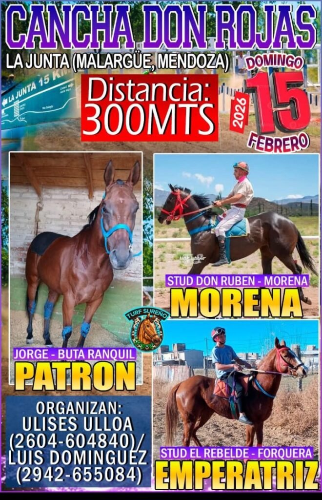 WhatsApp Image 2026 02 13 at 11.13.21 PM