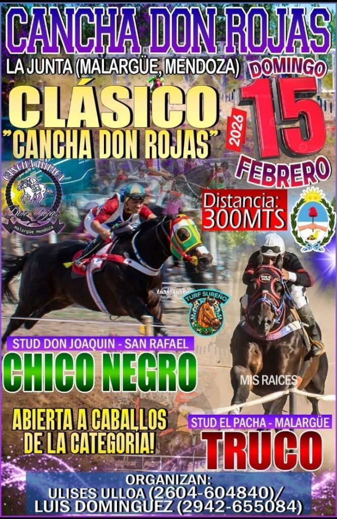 WhatsApp Image 2026 02 13 at 11.14.11 PM 1