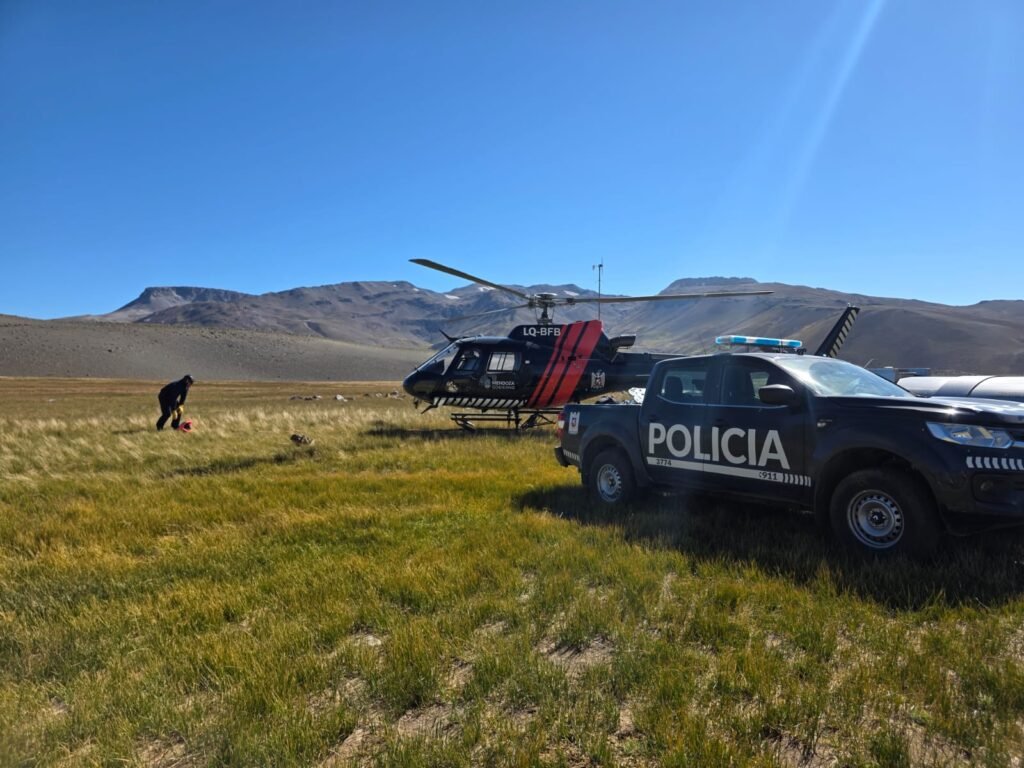 WhatsApp Image 2026 02 19 at 2.24.17 PM 2