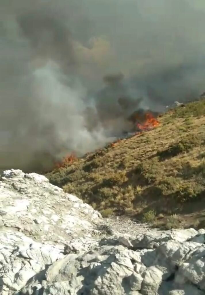 b8d4c9aa a5e6 4774 85ac d4e5b025b2d7