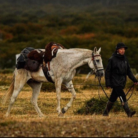 Andrés Rojas conquistó la Patagonia más extrema 1 SaveClip.App 658136394 1378582184292892 280227626791800358 n