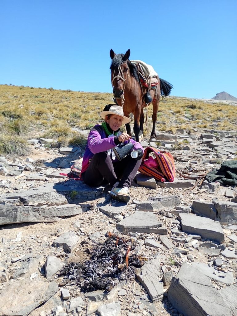 WhatsApp Image 2026 03 02 at 12.11.53 PM