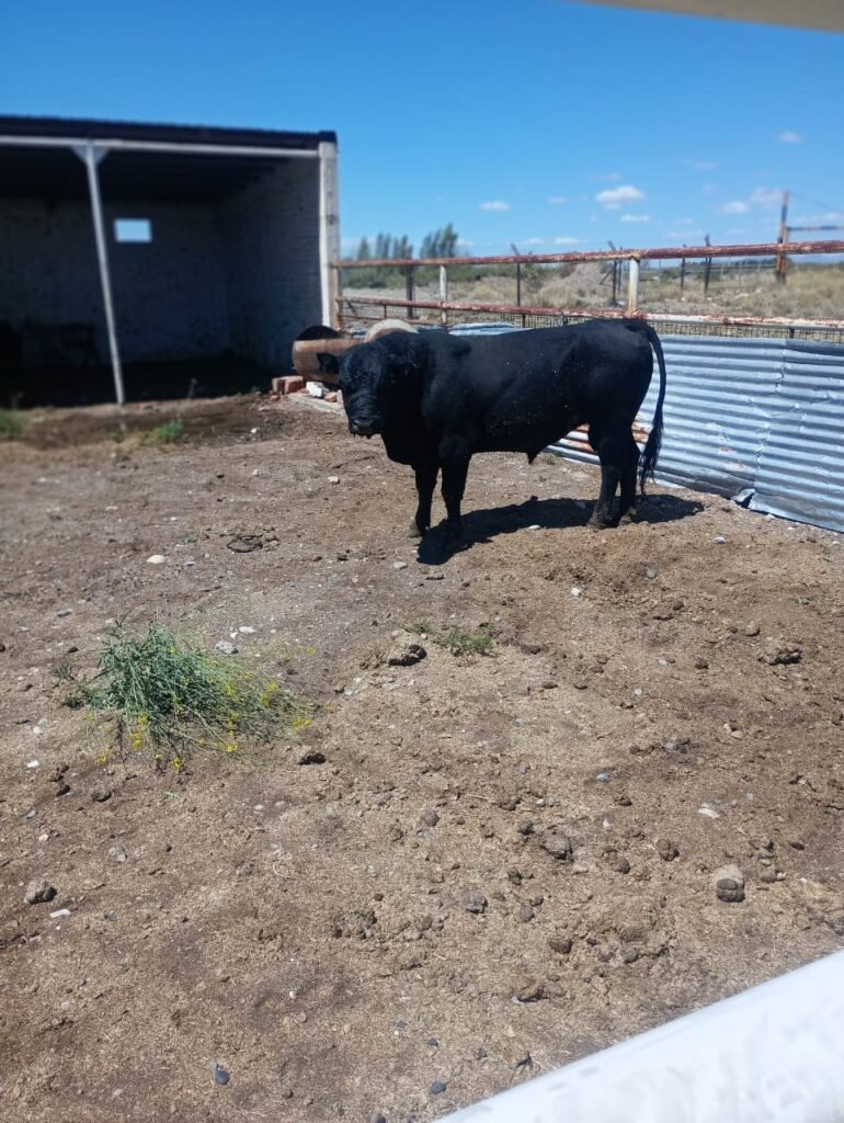 WhatsApp Image 2026 03 04 at 8.41.43 PM