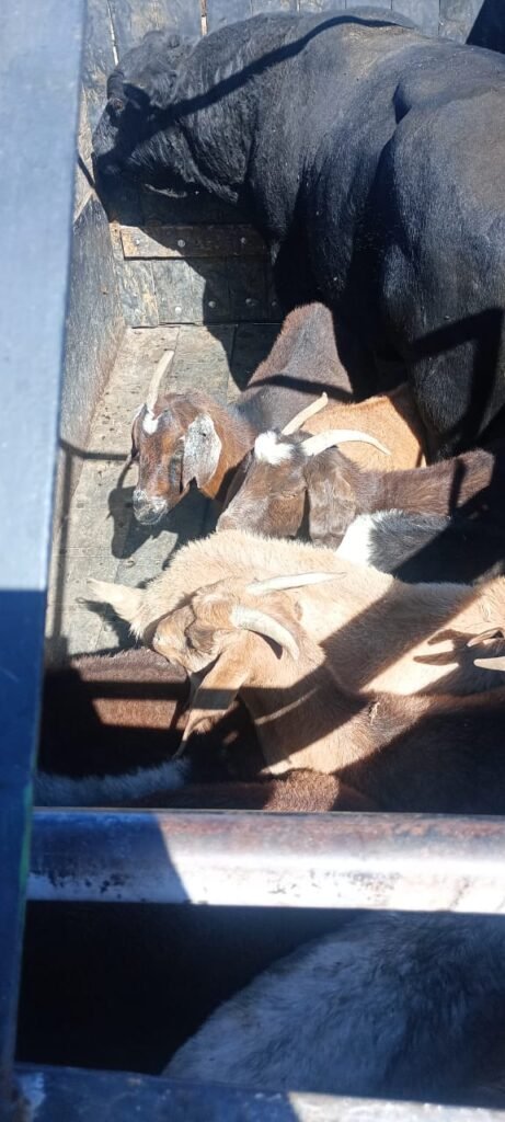 WhatsApp Image 2026 03 04 at 8.41.44 PM