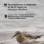 La Laguna Llancanelo suma un reconocimiento internacional ambiental