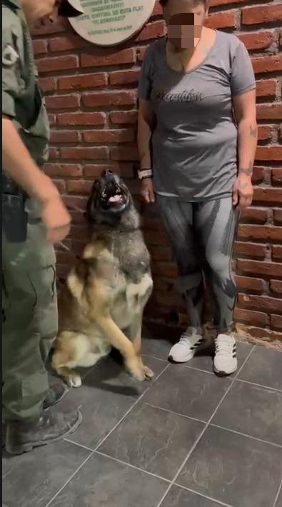 Gendarmería detectó cocaína en un control a un colectivo en El Sosneado. 3 image 6