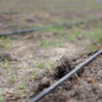 Regantes de Mendoza pagarán menos por la electricidad desde abril.