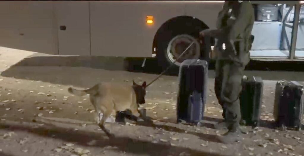 Incautan en Mendoza estupefaciente oculto en una encomienda 1