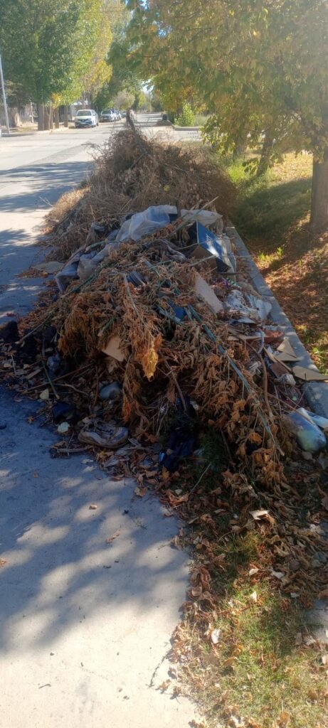 WhatsApp Image 2026 04 15 at 7.55.01 PM