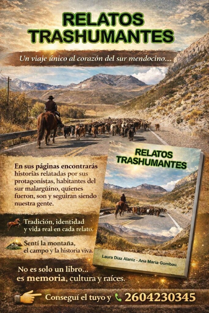 WhatsApp Image 2026 04 16 at 6.51.08 PM 1