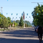 Nueva Ley de Arbolado en Mendoza: el municipio toma el control en la calle y “Mi Árbol” busca transparentar qué se poda, qué se replanta y dónde falta arbolado