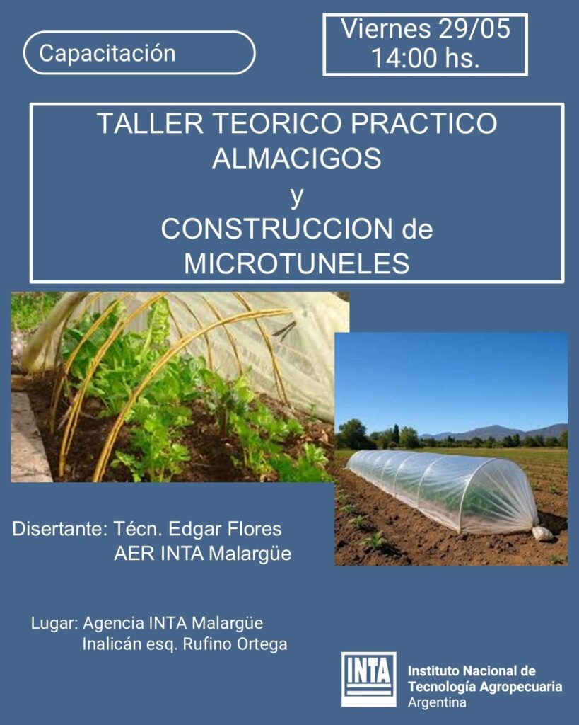 Huertas de invierno: INTA enseñará cómo producir verduras pese al frío en Malargüe. 1 WhatsApp Image 2026 05 22 at 1.57.41 PM