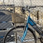 Le robaron la bicicleta, no hubo respuestas y tuvieron que pagar $50 mil para recuperarla en Malargüe