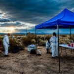 Hantavirus: no detectaron el principal reservorio del virus Andes en Malargüe