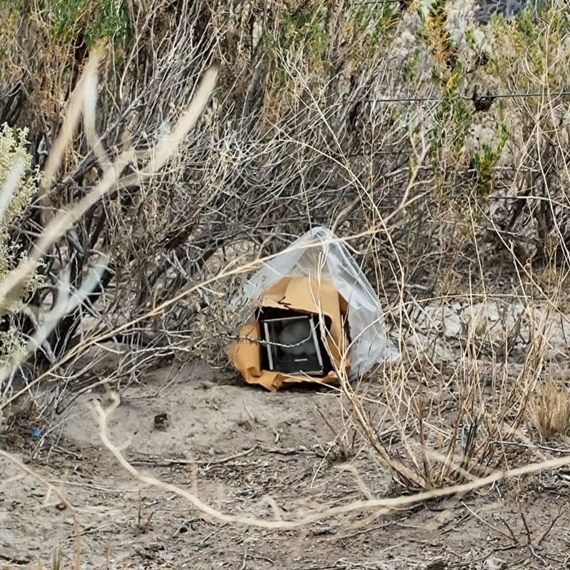 Hantavirus: no detectaron el principal reservorio del virus Andes en Malargüe 1 723240804 1304976955169268 904418694164799092 n