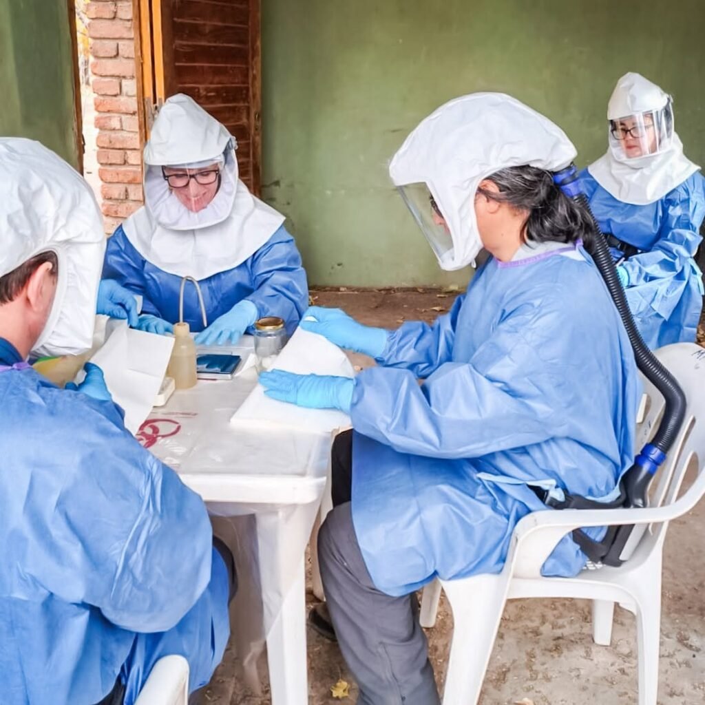 Hantavirus: no detectaron el principal reservorio del virus Andes en Malargüe 3 723883626 1304976818502615 7603367442096665731 n