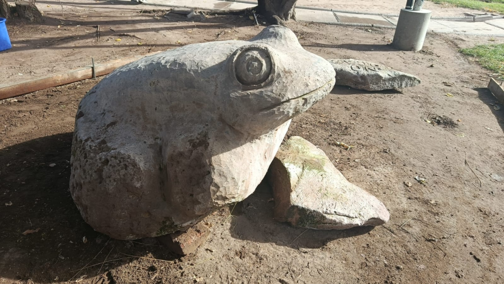 image 15