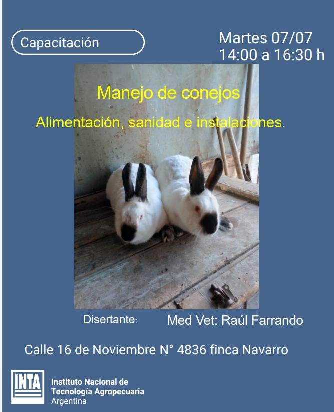 INTA realizará una capacitación gratuita sobre manejo de conejos en Malargüe. 6 WhatsApp Image 2026 07 02 at 12.45.30 PM