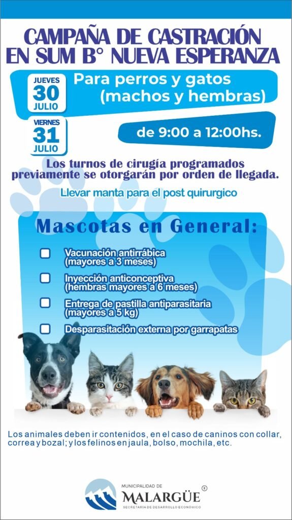 Campaña gratuita de castración y atención veterinaria para mascotas 1 WhatsApp Image 2026 07 21 at 09.53.28