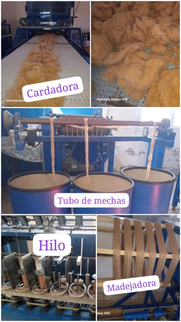 Con una hilandería en Las Salinillas, la Cooperativa Payún Matrú apuesta a seguir creciendo. 3 WhatsApp Image 2026 07 28 at 11.48.16 AM