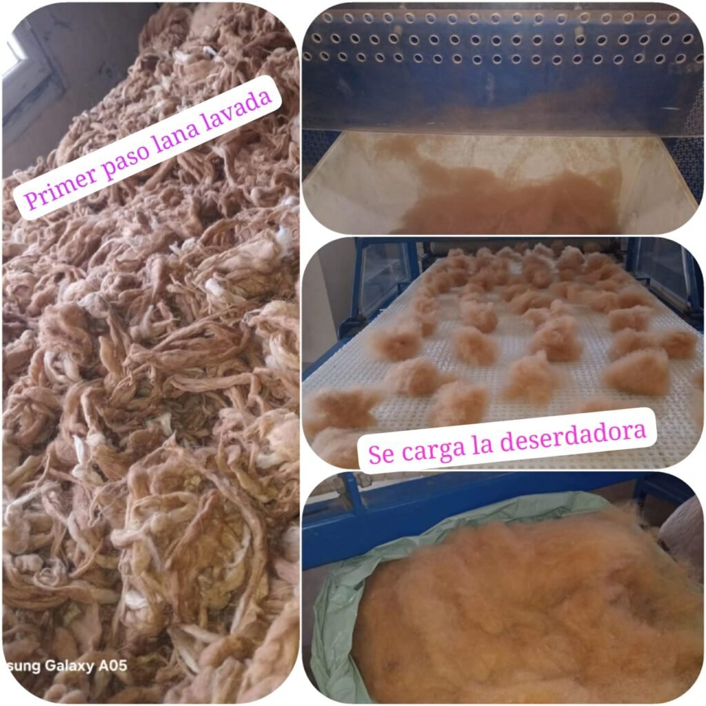 Con una hilandería en Las Salinillas, la Cooperativa Payún Matrú apuesta a seguir creciendo. 1 WhatsApp Image 2026 07 28 at 11.48.17 AM 1
