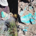 Muestras de Huemul revelan altas concentraciones de minerales estratégicos en Malargüe
