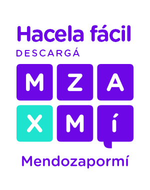 Inicio 1