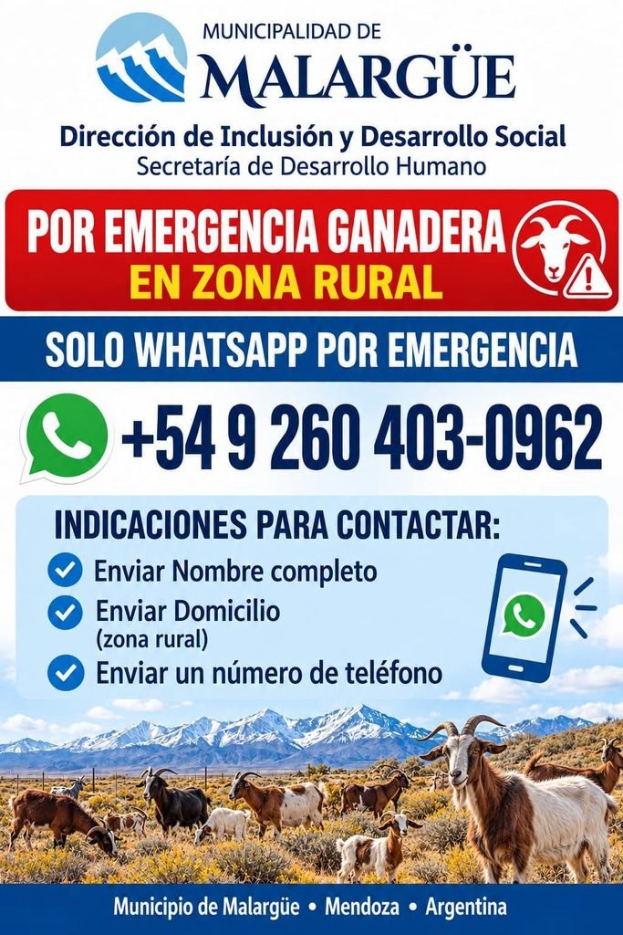 864145876 1432125209092703 8161291563330648144 n