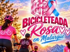 Pedalear, encontrarse y compartir: la invitación de la Bicicleteada Rosa.