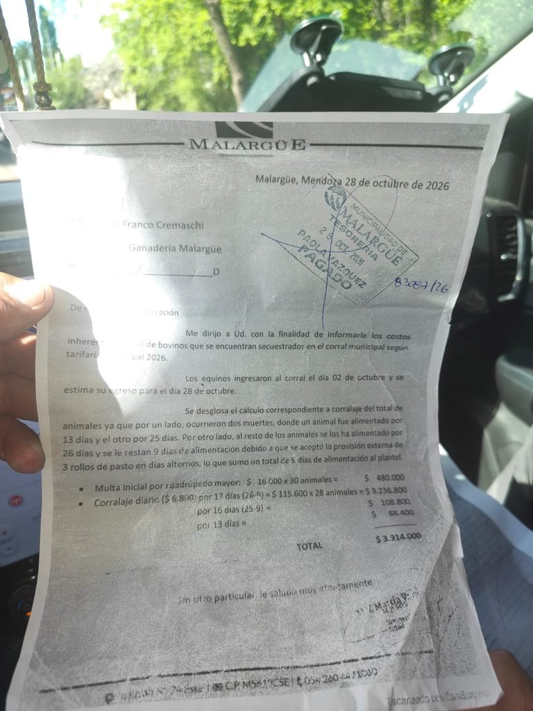 Un comprador cuestiona las condiciones de los terneros alojados en el corral municipal. 1 WhatsApp Image 2026 10 29 at 7.43.17 AM 1 768x1024 1